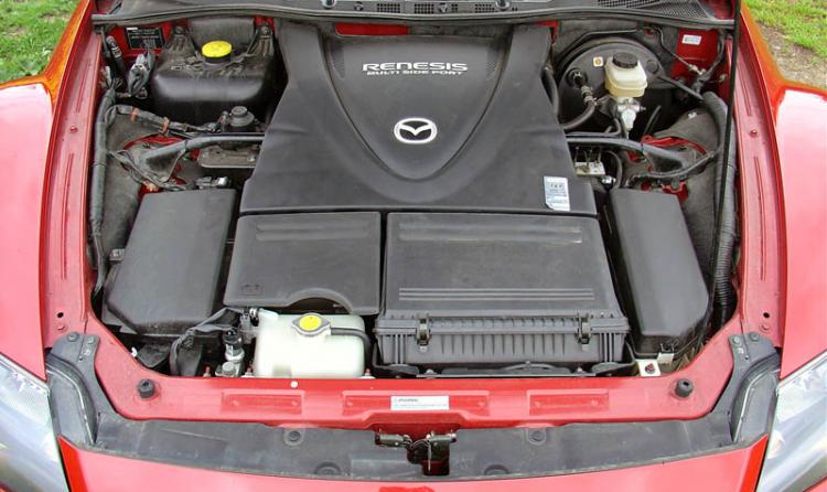 Motor